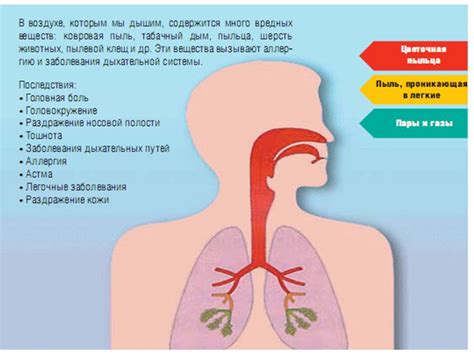 Влияние выходных на организм человека