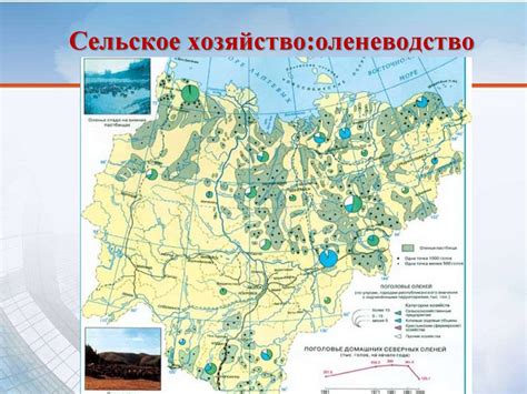 Влияние географического критерия на распространение