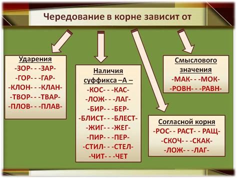 Влияние гласных на написание слова "дорога"