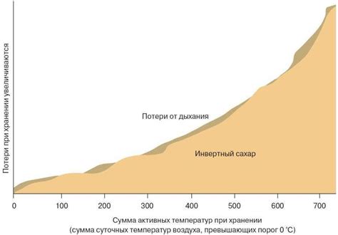 Влияние длительности варки на консистенцию свеклы