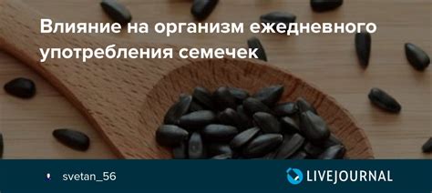 Влияние ежедневного потребления мака на организм