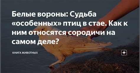 Влияние женской психологической сферы на интерпретацию снов о стае птиц