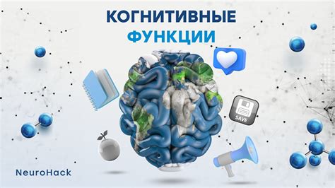 Влияние когнитивной функции на обучение языку