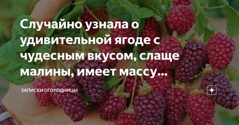 Влияние контекста на значение сновидения о ягоде малины