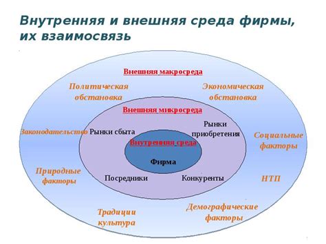 Влияние культурной среды на интерпретацию сна о тузе червей