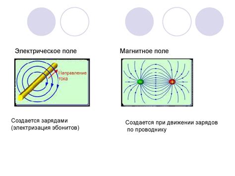 Влияние магнитного поля на окружающую среду