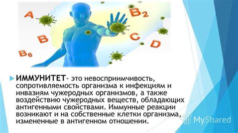 Влияние молока с чесноком на иммунитет и общую сопротивляемость организма