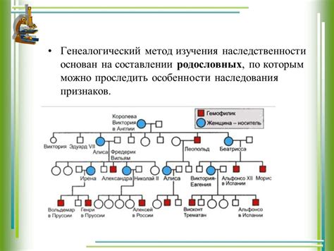 Влияние наследственности и родословной