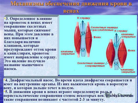 Влияние на кровоток и раздражение глазных мышц