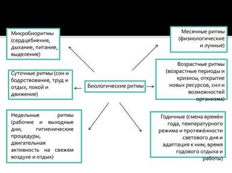 Влияние на работоспособность