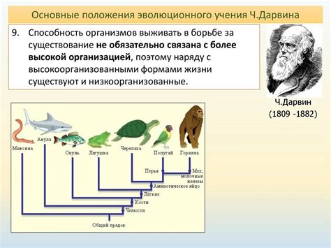 Влияние на развитие эволюционной биологии