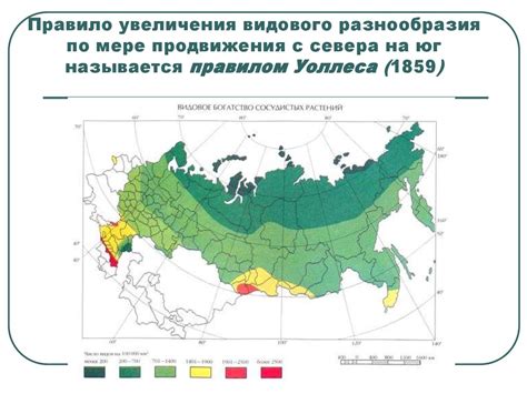 Влияние на формирование видового разнообразия