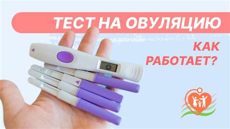 Влияние неправильного использования теста на овуляцию на результаты