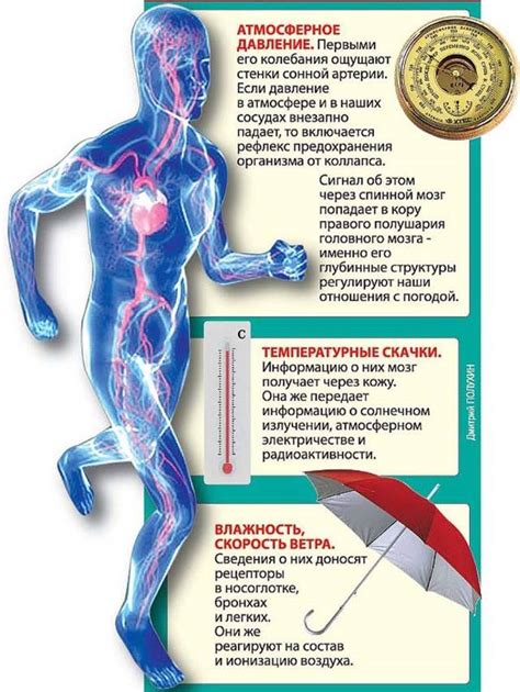 Влияние низкого атмосферного давления на организм