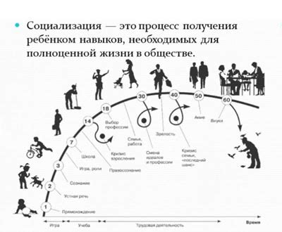 Влияние общества и истории на развитие языка и речи