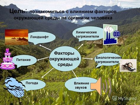 Влияние окружающей среды: Как факторы вне сознания могут повлиять на его истолкование