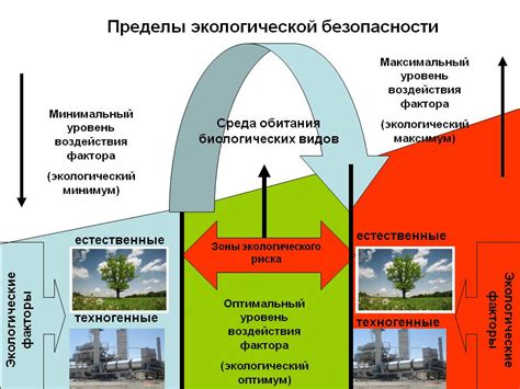 Влияние окружающей среды на безопасность продуктов