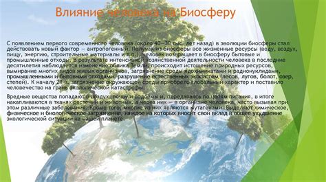 Влияние окружающей среды на сновидения: роль асфальтных дорог