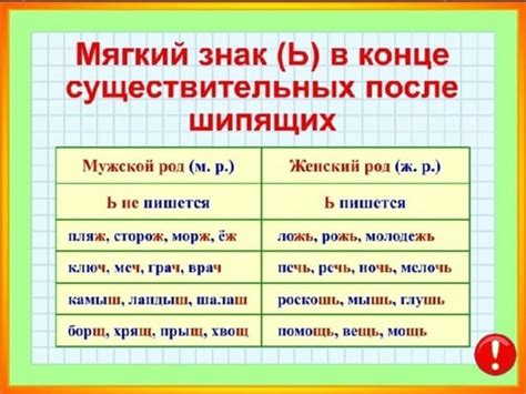 Влияние орфографических правил на написание мягкого знака в слове "жечь"