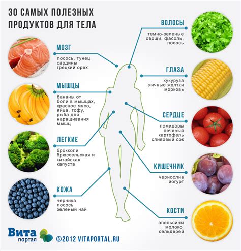 Влияние питания на возникновение опухоли