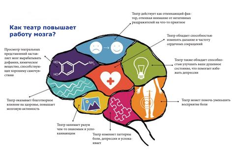 Влияние пищи на работу мозга