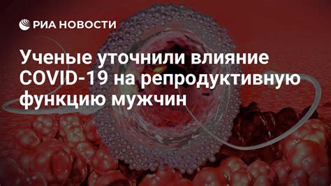 Влияние повышенного лептина на репродуктивную функцию