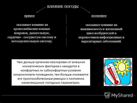 Влияние погоды на цикл сезонного сброса листьев