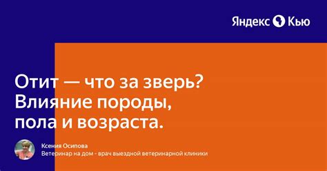 Влияние пола и возраста сновидца на интерпретацию сновидений