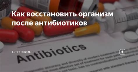 Влияние пробиотиков после антибиотиков на организм: какие результаты ожидать