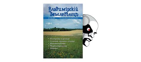 Влияние птичьего столкновения с окном на окружающих