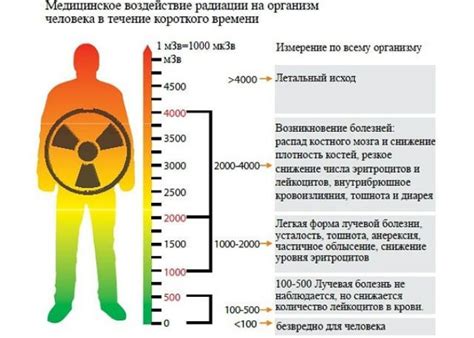 Влияние радиации на организм при проведении исследования