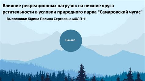 Влияние различных элементов природного парка на содержание и толкование сновидений