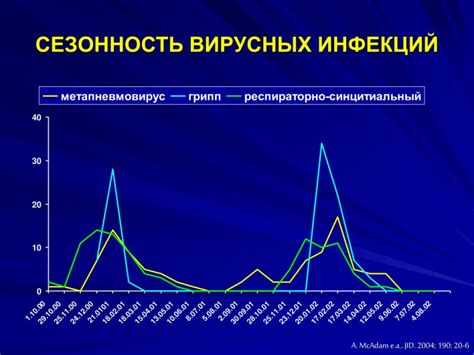 Влияние сезонности на цены недвижимости