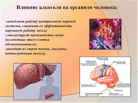 Влияние скорости на работу мозга и организм мужчины