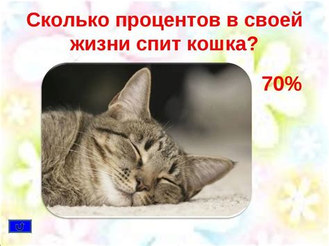 Влияние сна о собрании кошек на осознание личной автономии и роли зависимости в брачных отношениях