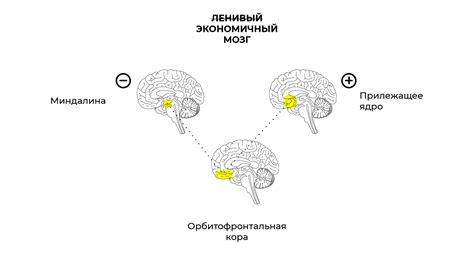 Влияние сновидений о покупке ракеток на подсознание