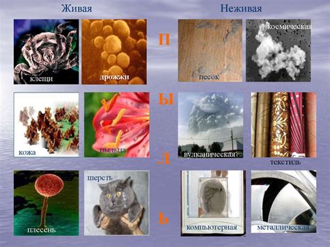 Влияние снов о уборке пыли на изменения в жизни