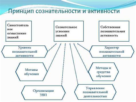 Влияние сознательности и активности на работу