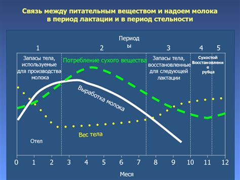 Влияние состояния матери на количество молока