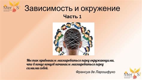 Влияние социальных факторов на поведение котов: межвидовые конфликты и территориальность