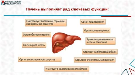 Влияние старения на метаболизм