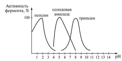 Влияние температуры на активность петушка