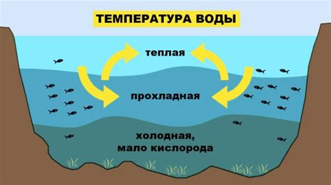 Влияние температуры на морскую воду