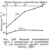 Влияние температуры на потребление воды