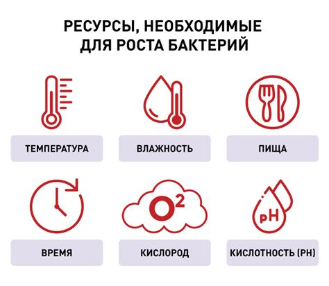 Влияние температуры на процесс вскипания при обработке свежих ран