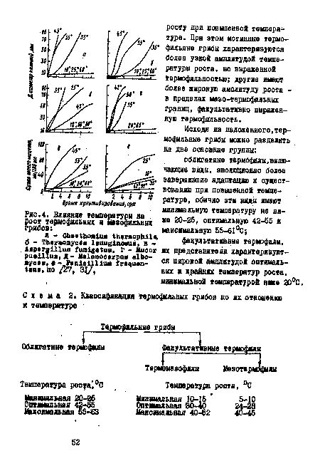 Влияние температуры на срок хранения грибов