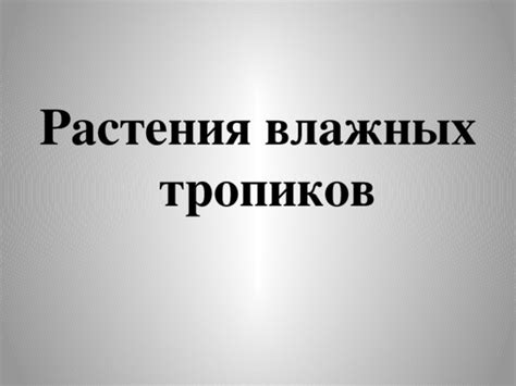 Влияние тропиков и субтропиков на человека: