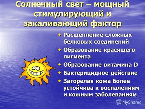 Влияние факторов, приводящих к неблагоприятному состоянию бабушки во время сна