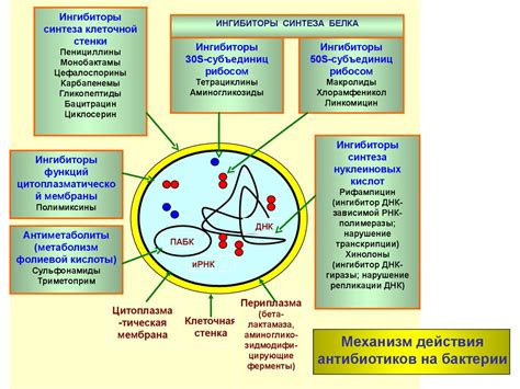 Влияние физических факторов