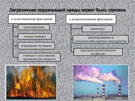 Влияние физического загрязнения на здоровье человека и экосистему